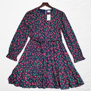 J. Crew Crewcuts Girl’s Size 14 Blue Cherry Dress Long Sleeves Lined Spring NEW